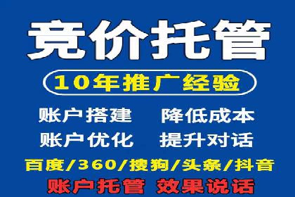 托管竞价sem案例分享：某电商平台的成功之路